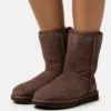 UGG CLASSIC SHORT - Classic Ankle Boots - Burnt Cedar